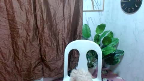 Snapshot of asianhotbigcock chatting on 02.21.25 Nico online show from 02.21.25