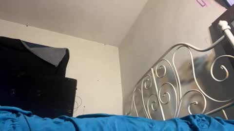 danni travis online show from 02.08.25