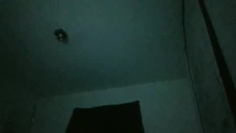 danni travis online show from 02.23.25