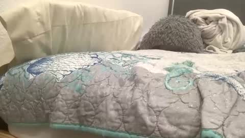 astrologyboy online show from 04.22.26