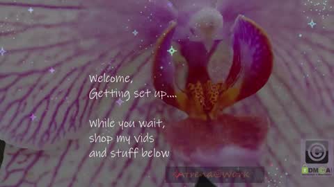 Atrena online show from 03.03.26