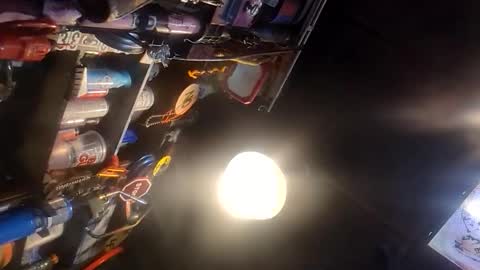 Pluke online show from 01.11.26