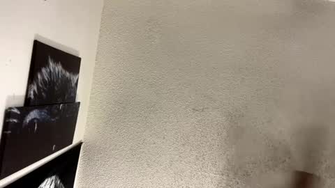 Snapshot of avalkyerieandherheathen chatting on 02.05.25 Lily Orion online show from 02.05.25