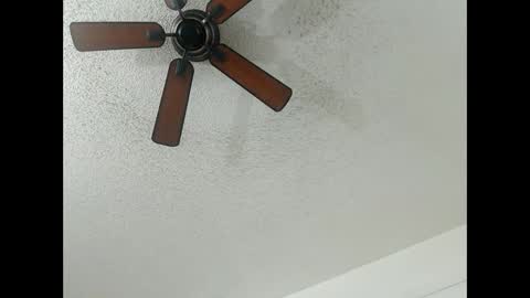 Snapshot of avalkyerieandherheathen chatting on 02.13.25 Lily Orion online show from 02.13.25