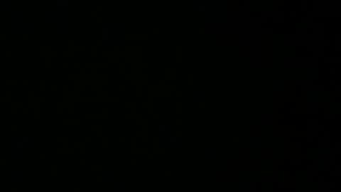 avg3131 online show from 01.16.25