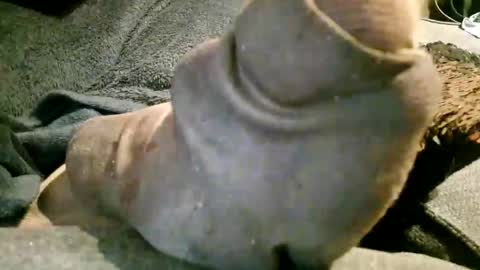 Snapshot of axelle_garcia chatting on 11.07.25 Axelle online show from 11.07.25