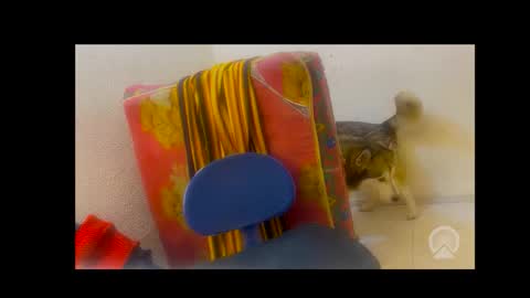 deliciosodemente online show from 02.04.26