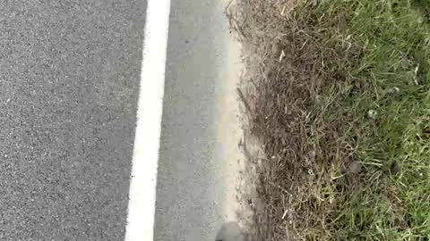 AylaTy online show from 03.15.26