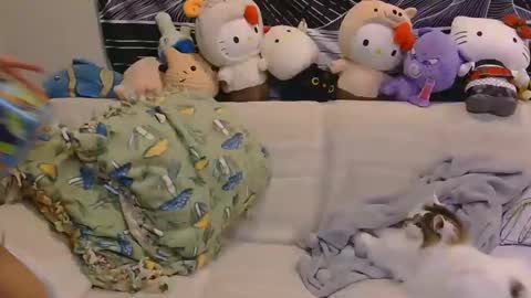 Snapshot of aznp1ea5er chatting on 02.19.26 aznp1ea5er online show from 02.19.26