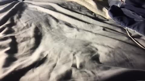 b0rk3r online show from 12.11.24