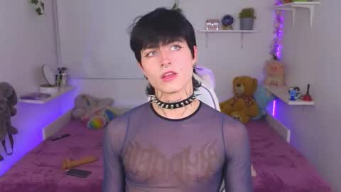  Dani  online show from 11.14.25