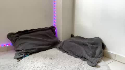 Snapshot of babycrazy24love chatting on 03.02.25 babycrazy24love online show from 03.02.25