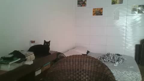 Snapshot of babydemon6 chatting on 11.14.25 babydemon6 online show from 11.14.25