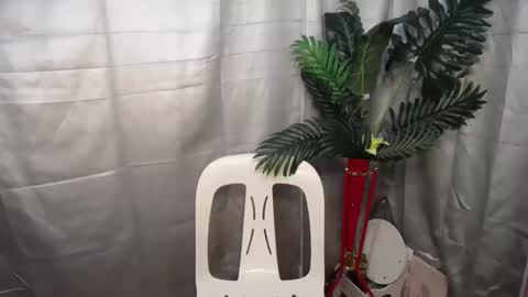 Nexie online show from 10.09.25