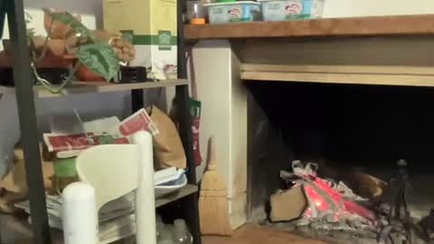 Snapshot of bach77 chatting on 12.12.24 bach online show from 12.12.24