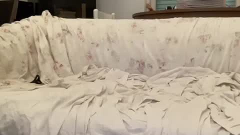 Snapshot of bach77 chatting on 02.12.25 bach online show from 02.12.25