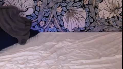 Ava online show from 09.30.25