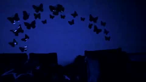 Snapshot of badgg chatting on 02.12.25 Gina online show from 02.12.25