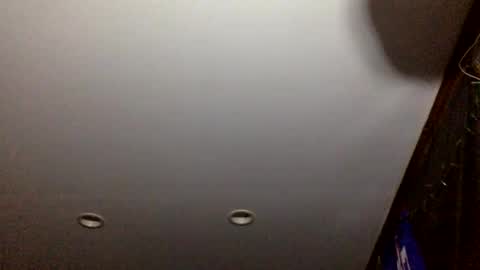 bagchaserbih online show from 04.02.26