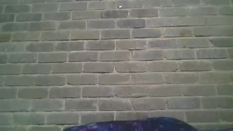 Chaterlain online show from 01.19.25