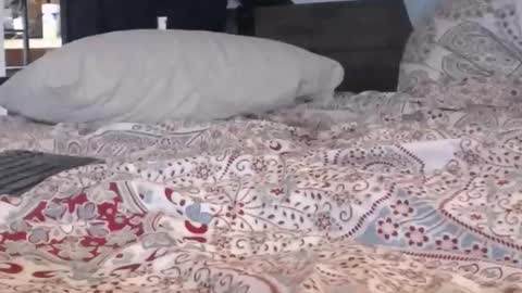 Snapshot of baker305 chatting on 09.29.25 baker305 online show from 09.29.25