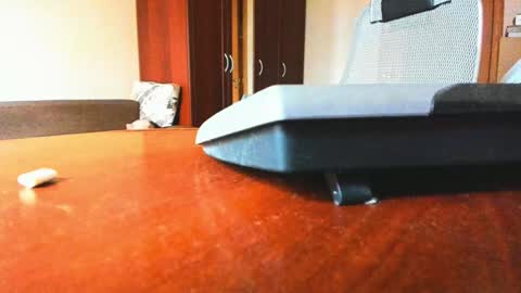 Snapshot of banana_skinny_boy chatting on 02.06.25 BananaBoy online show from 02.06.25