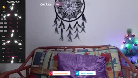 Snapshot of bandit_monkey chatting on 12.24.24 V E R O N I C A online show from 12.24.24