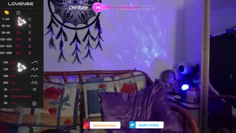 Snapshot of bandit_monkey chatting on 01.19.25 V E R O N I C A online show from 01.19.25