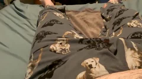 bandman862 online show from 12.11.24