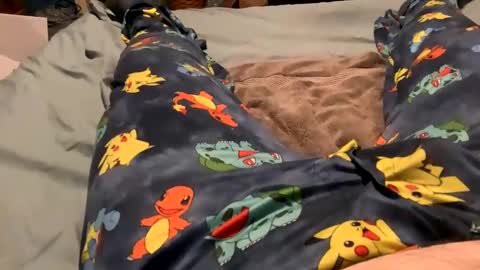 bandman862 online show from 01.23.25