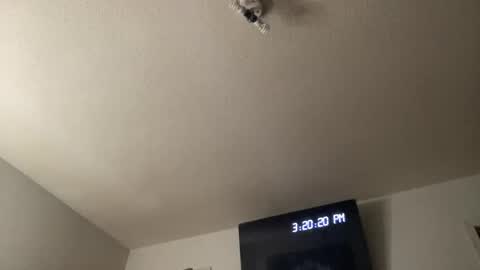 Chelly online show from 03.25.26