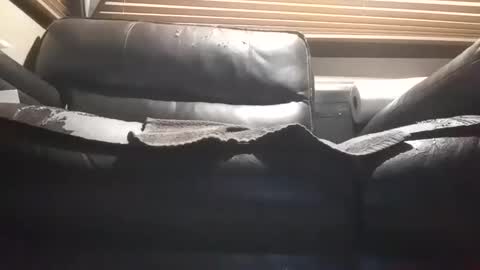 baobabtree10 online show from 10.28.25