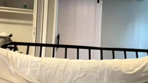 Snapshot of barbiegutzfan3 chatting on 03.02.26 Tsbaby301 online show from 03.02.26