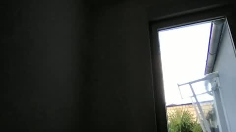 basst23 online show from 11.17.25