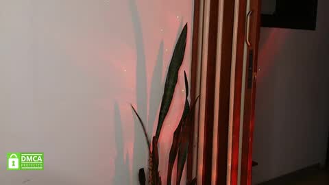 Bastiel online show from 01.15.26