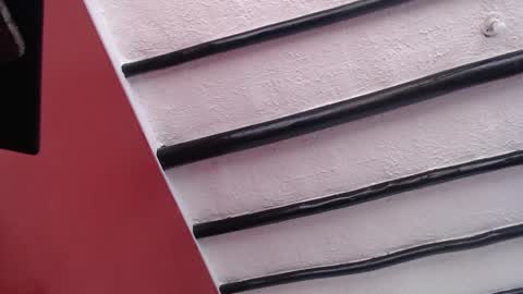 bayonette_black online show from 12.02.24