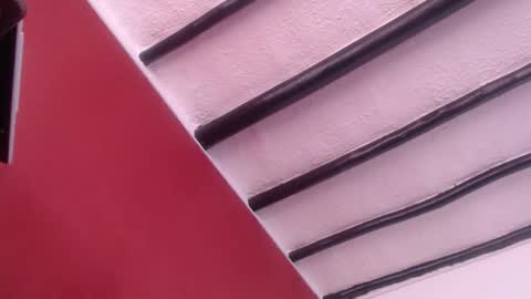 bayonette_black online show from 12.13.24