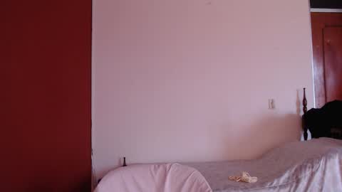 bayonette_black online show from 11.09.25