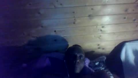 bbcmasterxl online show from 12.22.25