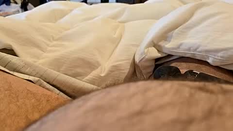 bbjj1970 online show from 11.29.25