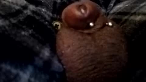 Snapshot of bcfalcon69 chatting on 02.26.26 bcfalcon69 online show from 02.26.26