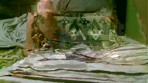 beagle1 online show from 11.01.25