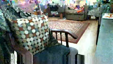 beardie89 online show from 01.12.26