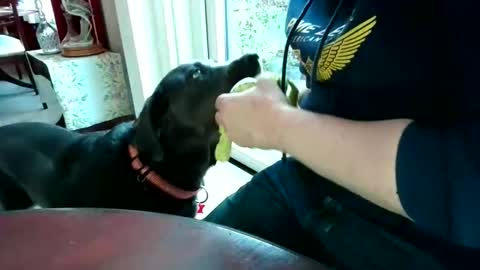 Beardman online show from 04.07.26