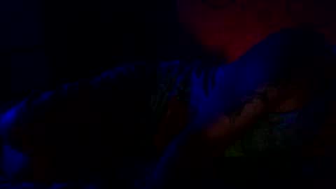 Snapshot of because_not chatting on 06.22.26 because_not online show from 06.22.26