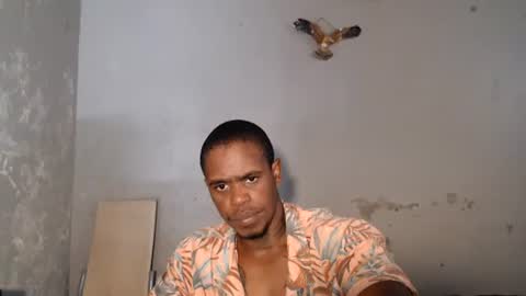 Frank online show from 08.04.26