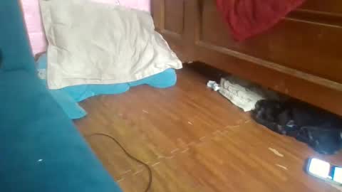 beebaby_xx online show from 11.16.25