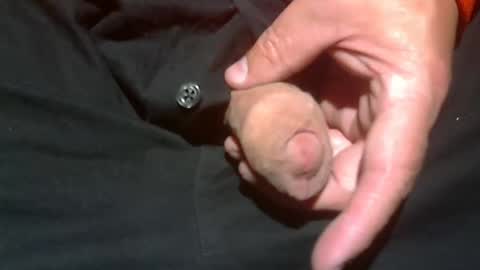  Reservoir Dogs online show from 11.02.25