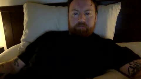 Beewolf online show from 12.13.24
