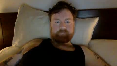 Beewolf online show from 12.30.24